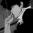 Napoleon_Watanabe